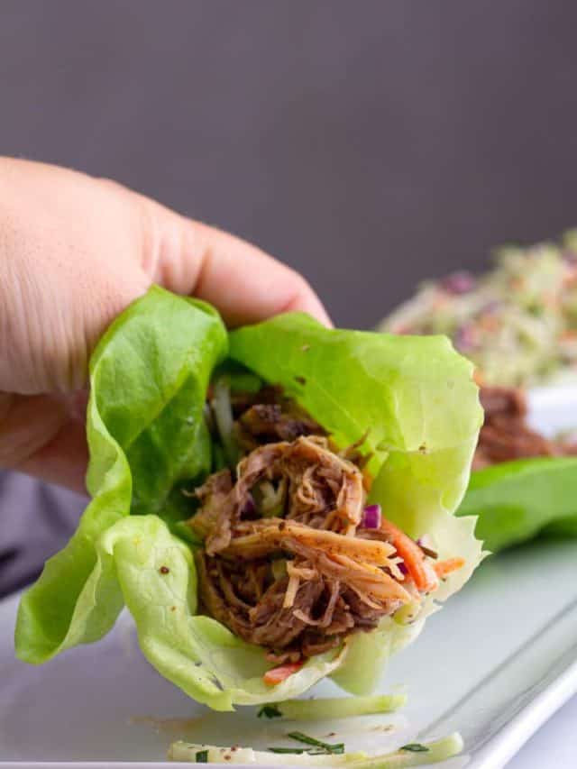 Keto Slow Cooker Pulled Pork Story • Low Carb Nomad