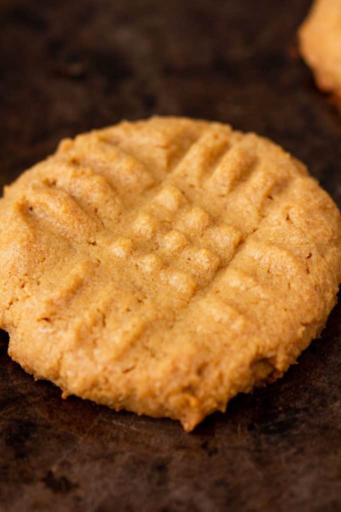 Keto Peanut Butter Cookies (Only 3 ingredients) • Low Carb Nomad